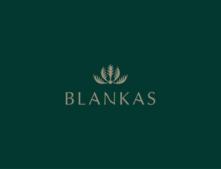 blankas-05
