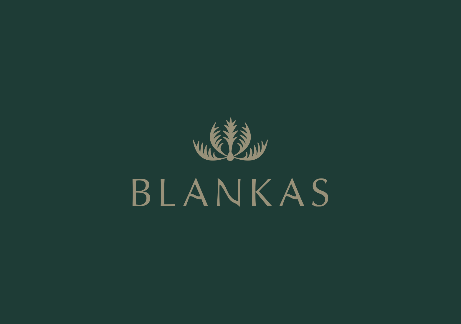 Blankas: Branding